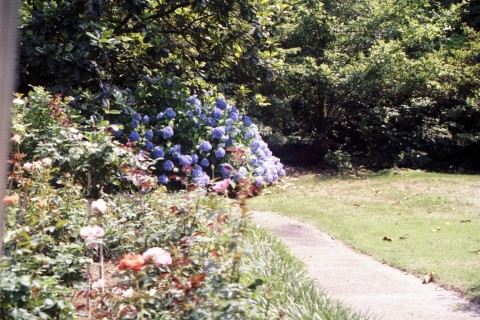 gardens.2.jpg